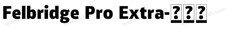 Felbridge Pro Extra字体转换 Felbridge Pro Extra字体转换